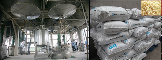 ÕÅÈ«ÐËԺʿӦÑû¾ÙÐС¶Àë×Ó½»Á÷ÓëÎü¸½Ê÷Ö¬Éú³¤Àú³ÌÓëÕ¹Íû¡·±¨¸æ»á ÕÅÈ«ÐËԺʿӦÑû¾ÙÐС¶Àë×Ó½»Á÷ÓëÎü¸½Ê÷Ö¬Éú³¤Àú³ÌÓëÕ¹Íû¡·±¨¸æ»á