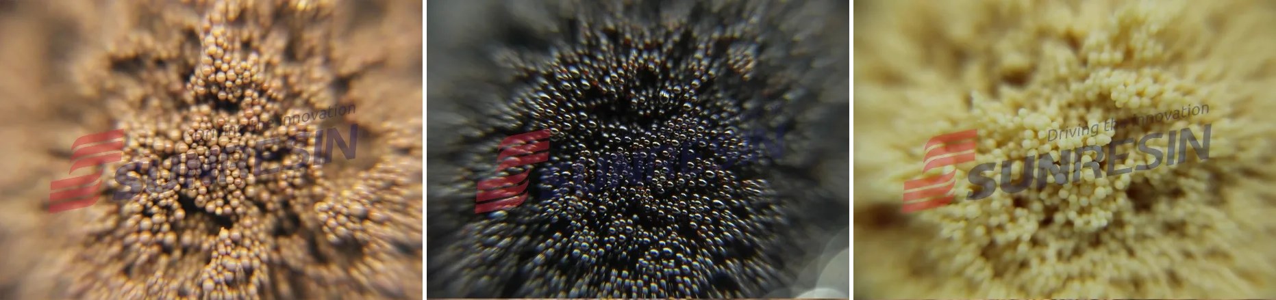 ggpoker�����Ƽ��ֳɻ�����֪��2020���ר��ר���о���Ŀ